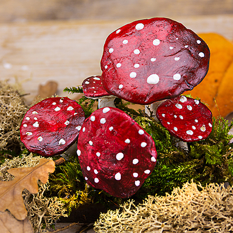 DIY Paddenstoelen van klei!