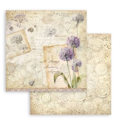 All Around – Printed Double Face scrapbooking sheet for Art and Craft – Allium