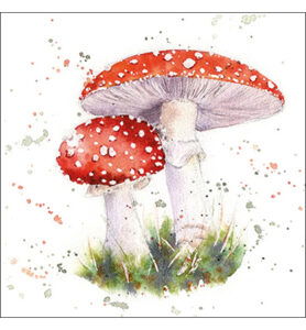 Servetten 20pcs / 33 x 33cm, Painted fly agaric
