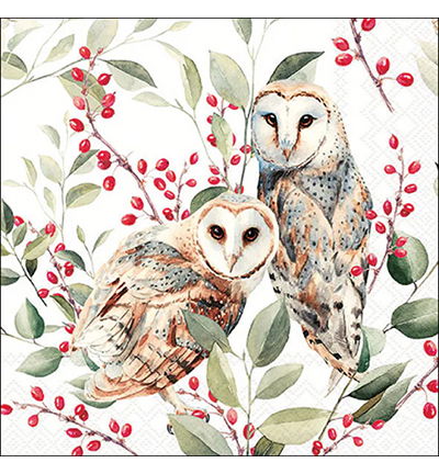 Servetten 20pcs / 33 x 33cm, Barn owl couple white
