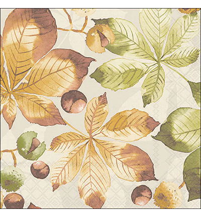 Servetten 20pcs / 33 x 33cm, Castanea