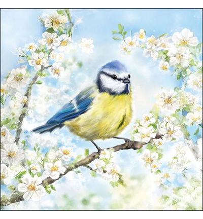 Servetten 20pcs / 33 x 33cm, Blossom time
