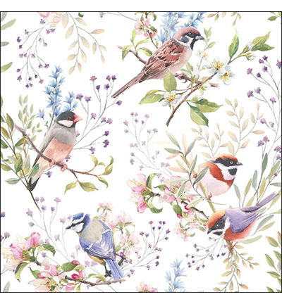 Servetten 20pcs / 33 x 33cm, Busy birds