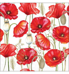 Servetten 20pcs / 33 x 33cm, Poppy all over white