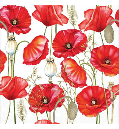 Servetten 20pcs / 33 x 33cm, Poppy all over white
