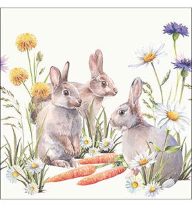 Servetten 20pcs / 33 x 33cm, Carrot treat
