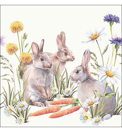 Servetten 20pcs / 33 x 33cm, Carrot treat