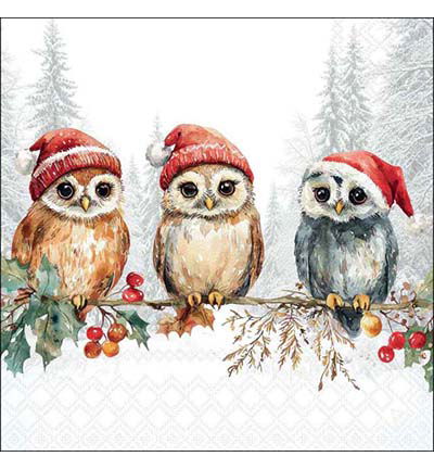 Servetten 20pcs / 33 x 33cm, Wise owls