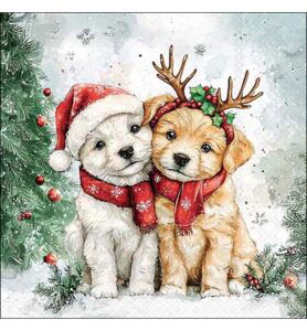 Servetten 20pcs / 33 x 33cm, Cody and Buddy