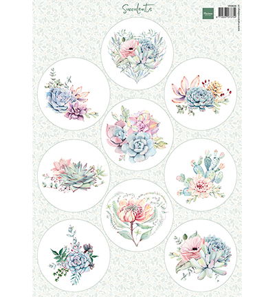 Knipvel A4, Succulents