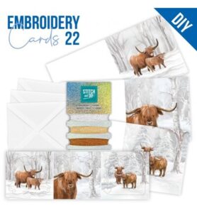 Find IT Stitch & Do Cards 22 – Berries Beauties – Stoere winter
