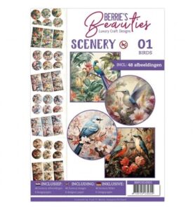 Push-Out Book Scenery 01 – Vogels