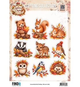 Find It Collection – Cutting Collection 10 stuks – Autumn Charm – Colors of Fall